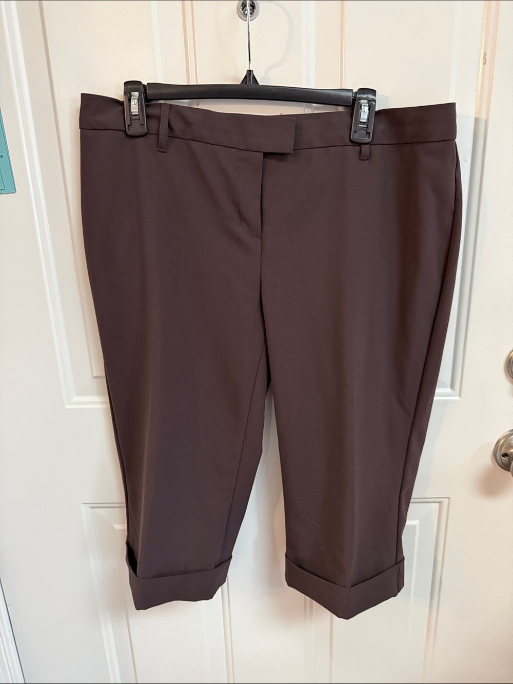 Express Women's Brown Cropped Capris